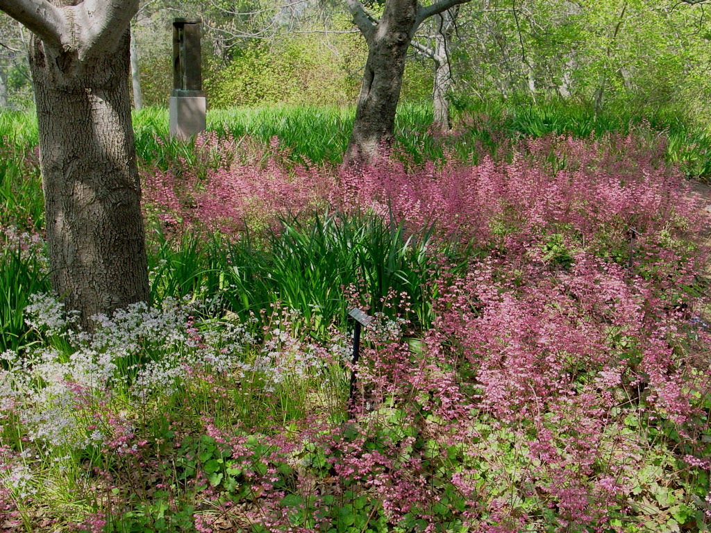 Rancho Santa Ana