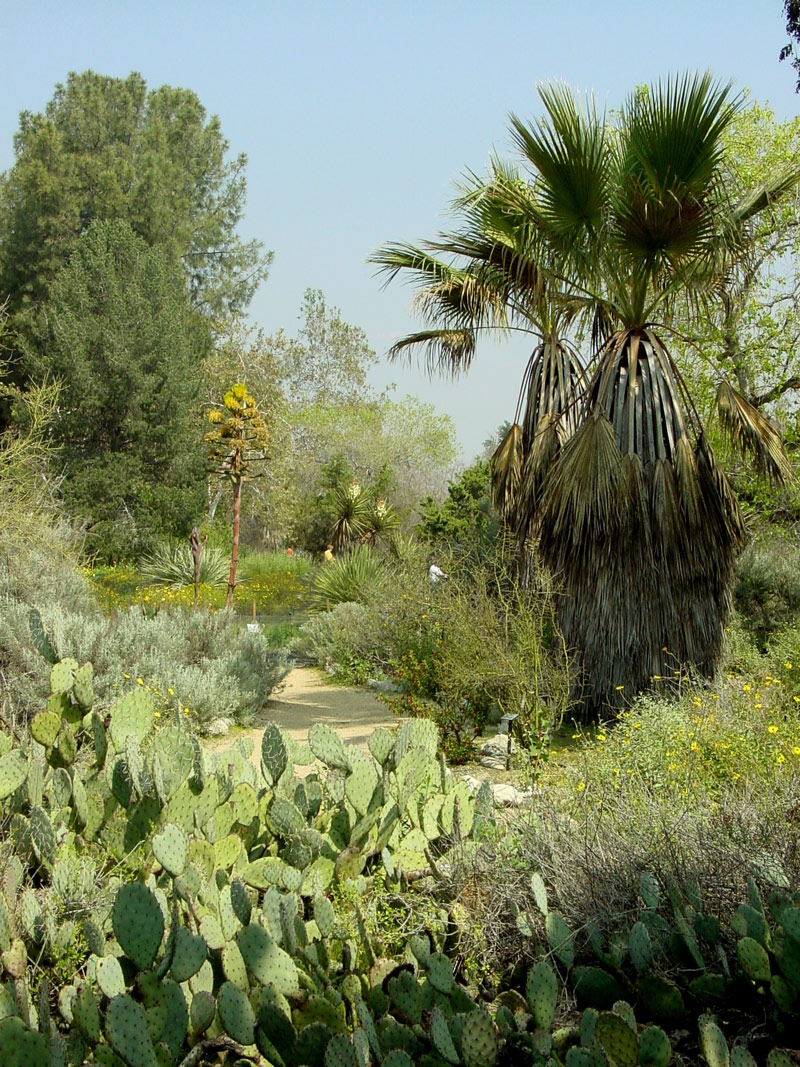 Rancho Santa Ana Garden, California