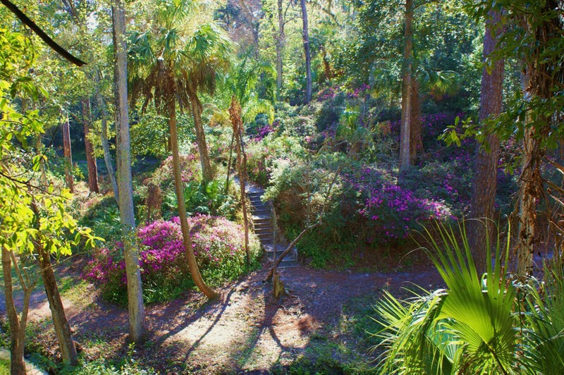 Ravine Gardens, Palatka