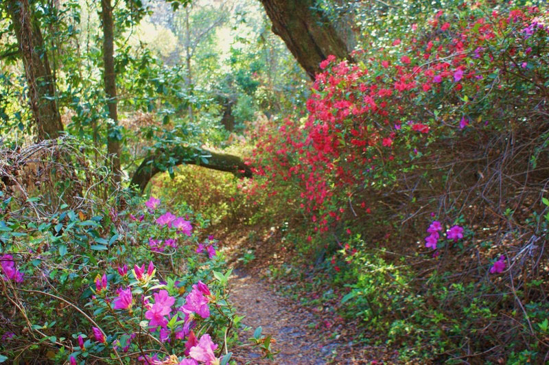Ravine Gardens State Park, USA