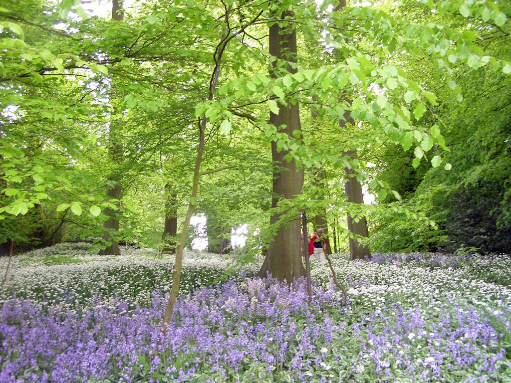 Garlic Woods, The Old Rectory