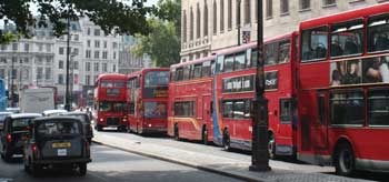 Red Buses