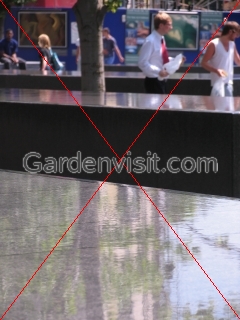 Reflective Walk
