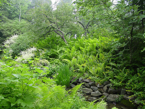 Reford Gardens, Quebec