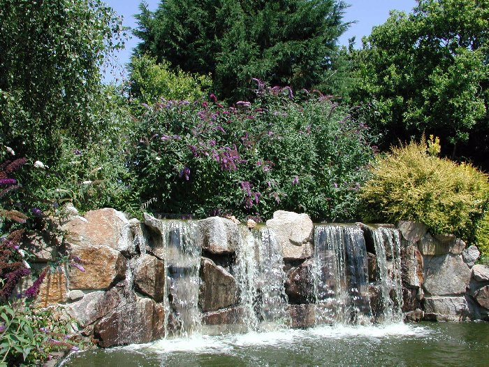 Waterfall, Reg's Garden