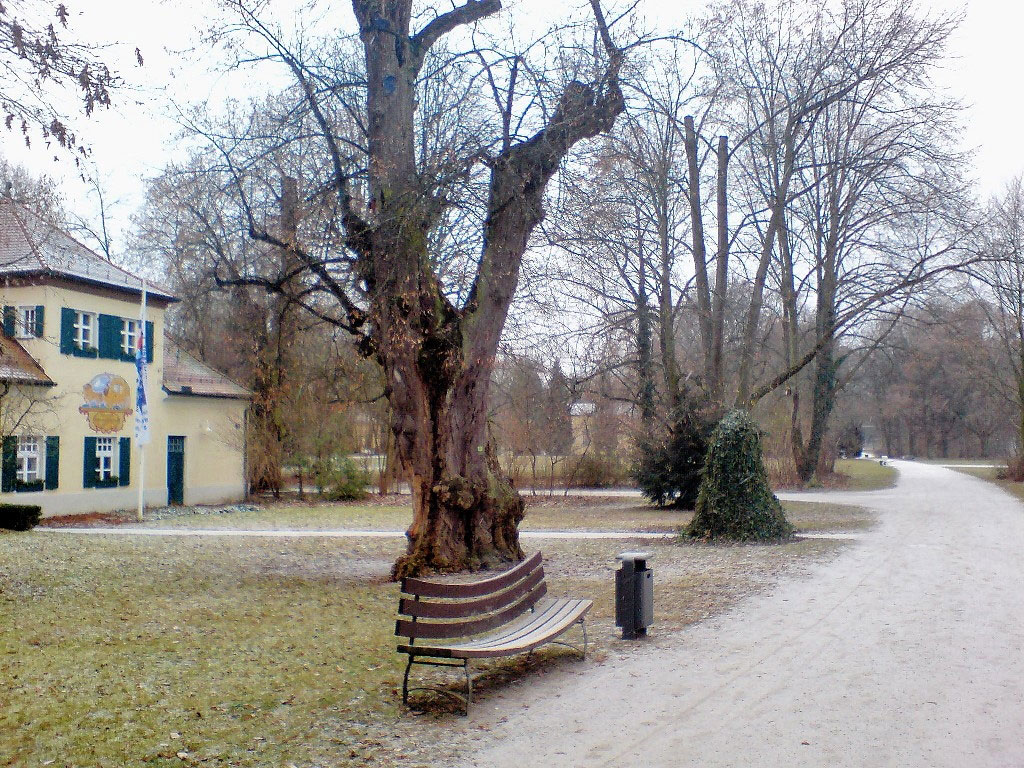 Regensburg Stadtpark, Winter