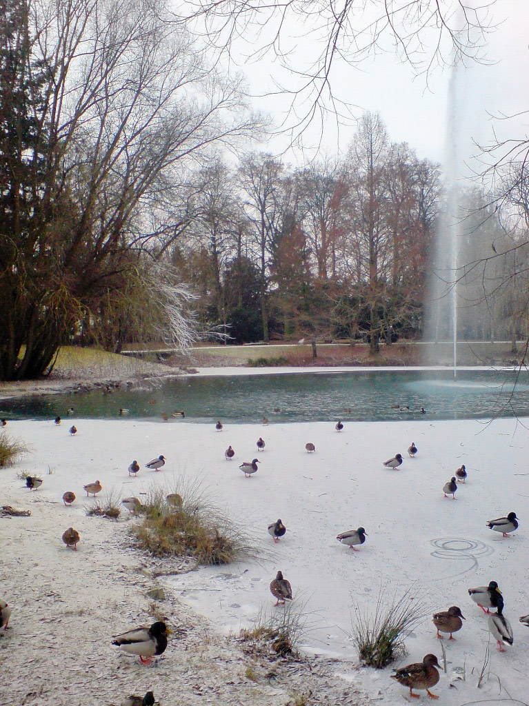 Fountain, Regensburg Stadtpark