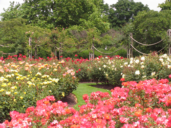 Regent's Park
