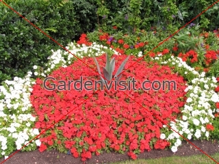 Regents Park Bedding