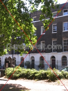 Regents Square Gardens