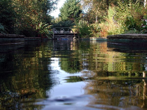Reg's Garden, Jersey