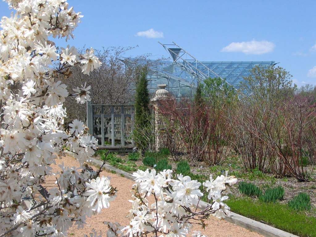 Butterfly Wing, Reiman Gardens