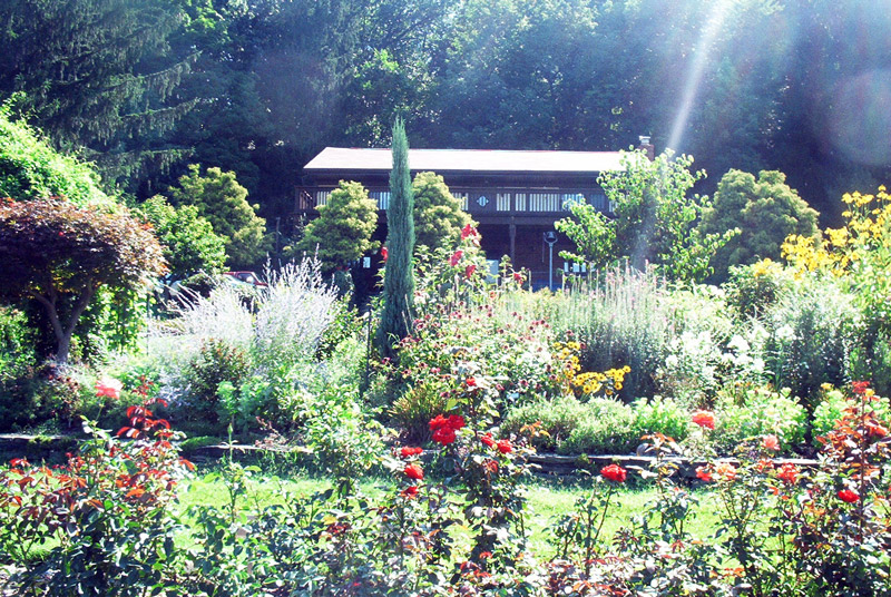 Renziehausen Park Rose Garden