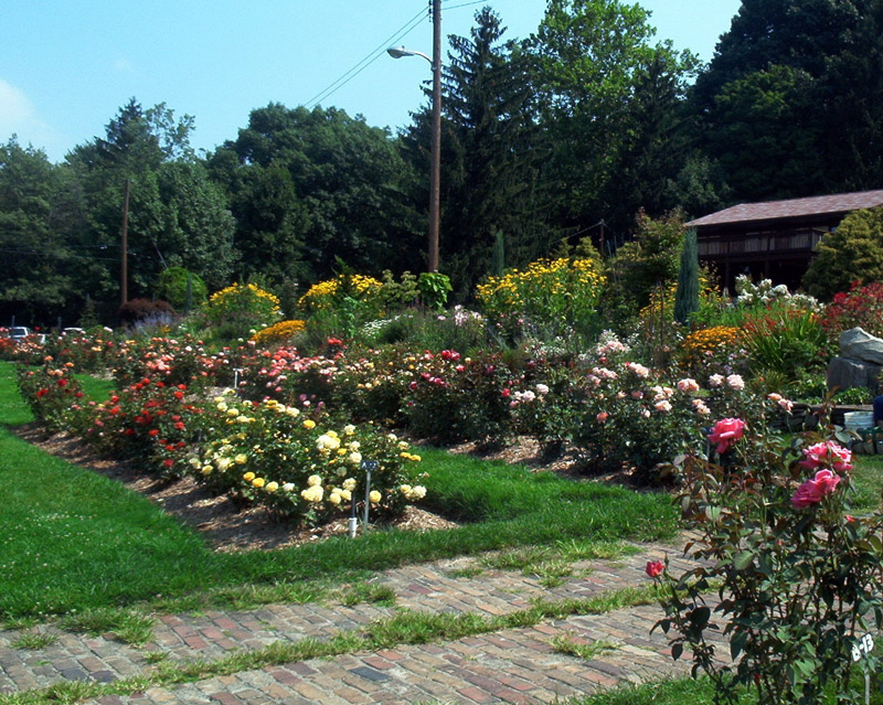  Rose Garden, Renziehausen Park