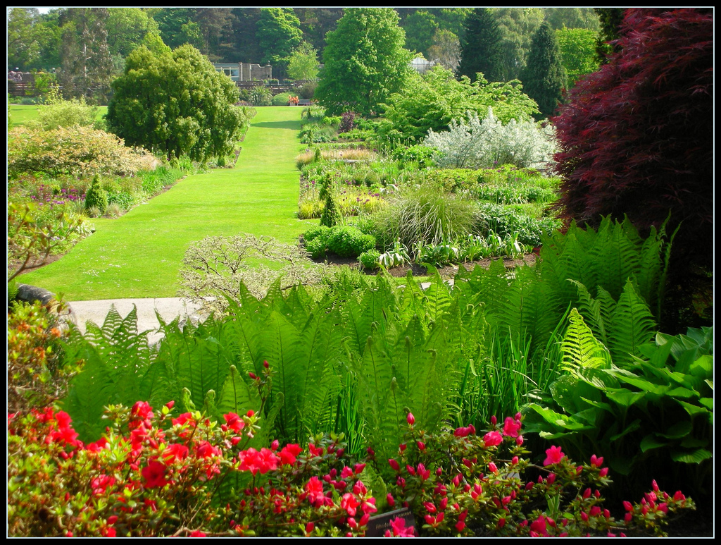 RHS Garden Harlow Carr Karen