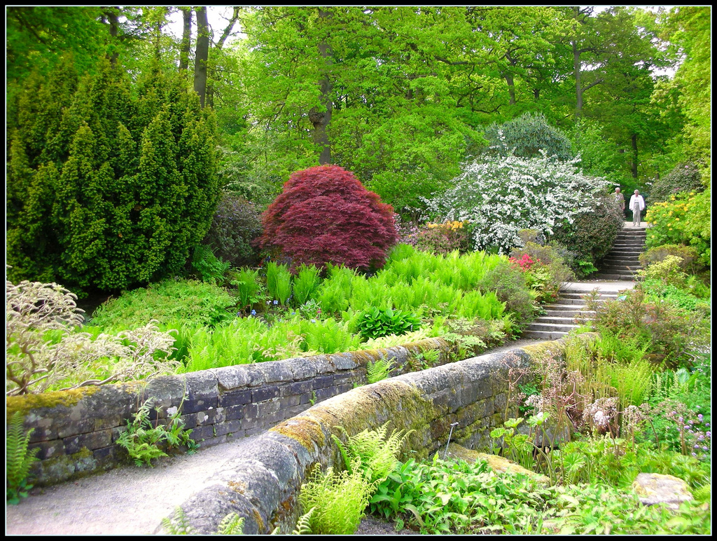 RHS Garden Harlow Carr Karen
