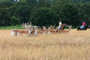 Richmondpark