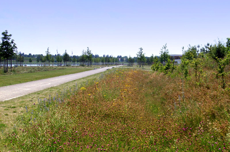 Riemer Park