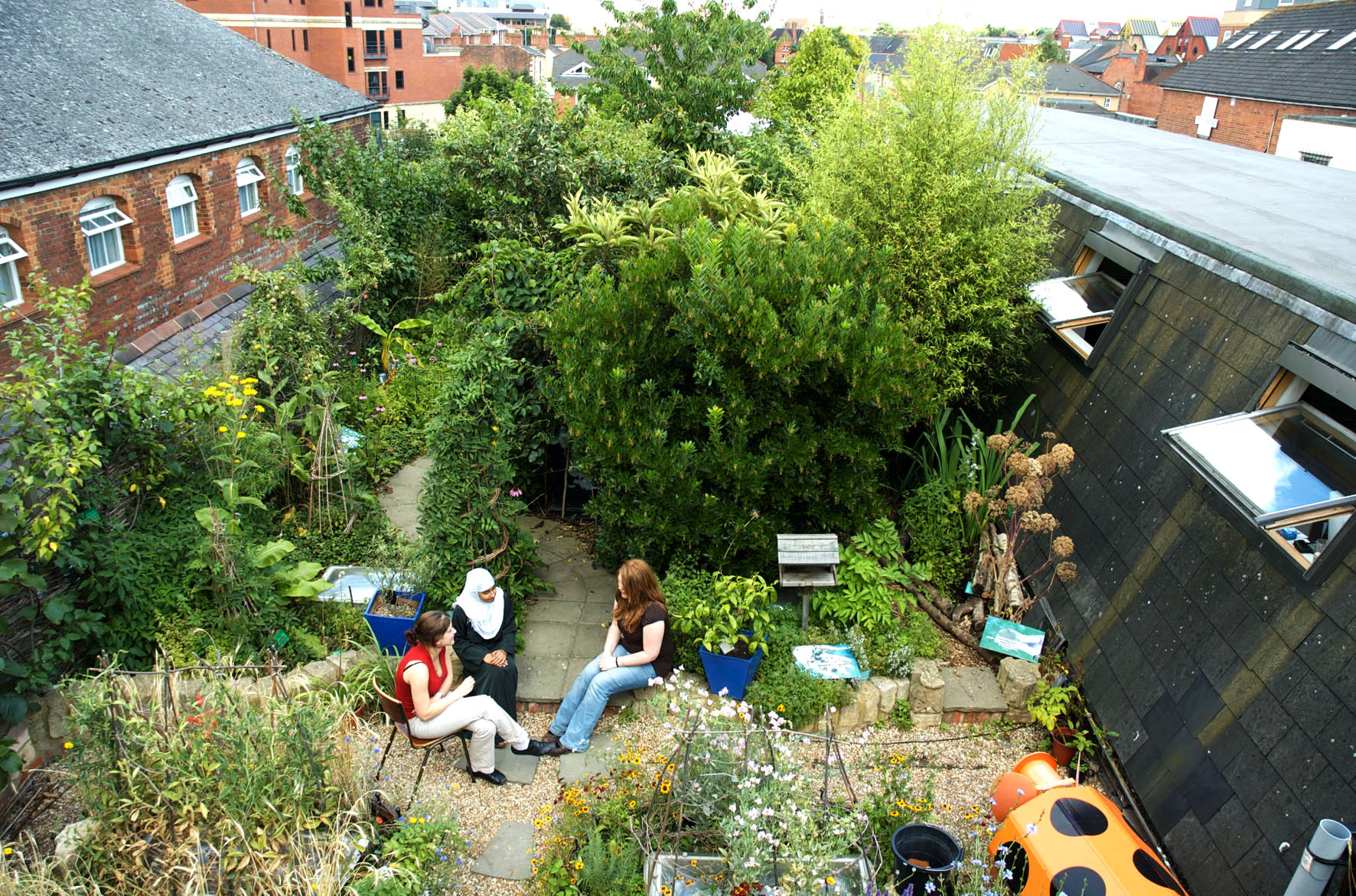 RISC Roof Garden RISC