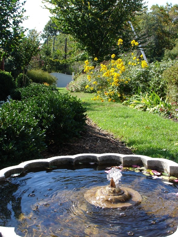 Pool, River Farm
