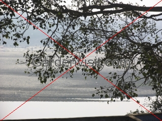 River Jumna Agra
