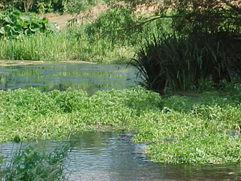 St Mary's Cray
