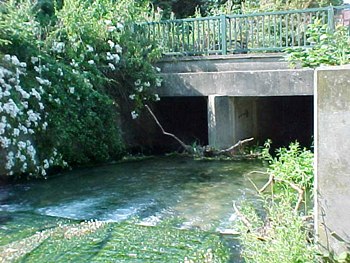 St Mary's Cray
