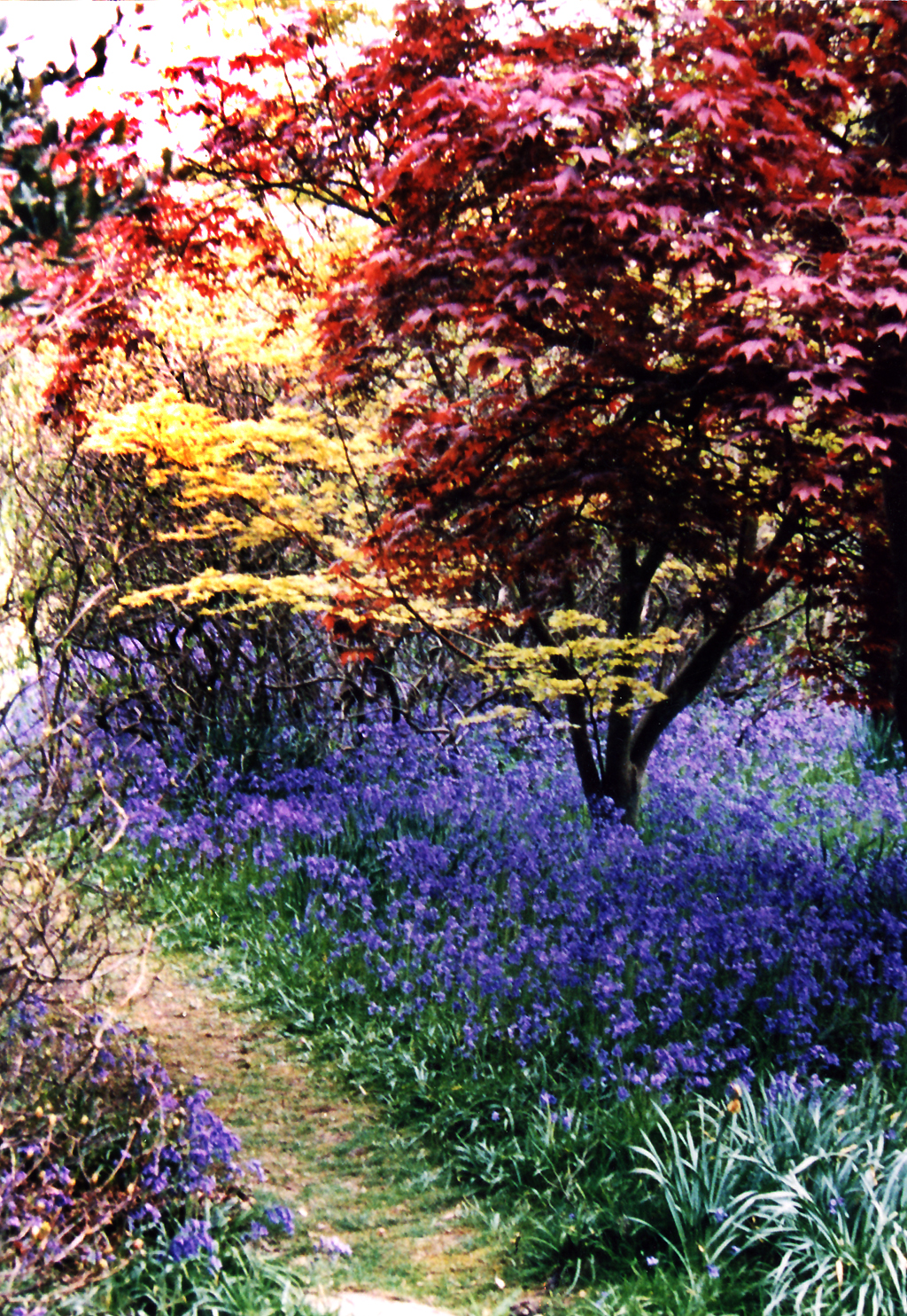 Riverhill House Gardens Riverhill House