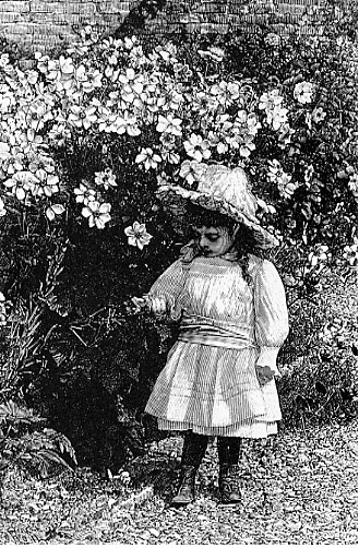 Illustrations on CD edition of Garden Visit and Travel Guide - see www.gardenvisit.com/order_form.htm