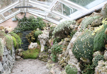 Rock garden planting design