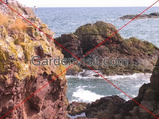 Rocks