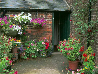 Rode hall gardens