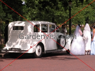 Rolls Royce Wedding