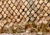 Roman bricks