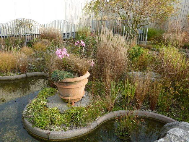 Jellicoe Roof Garden, 2009