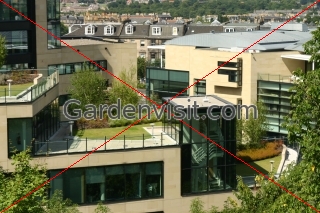 Roof Garden Leith Walk