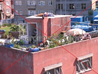 Roof Garden Turkey