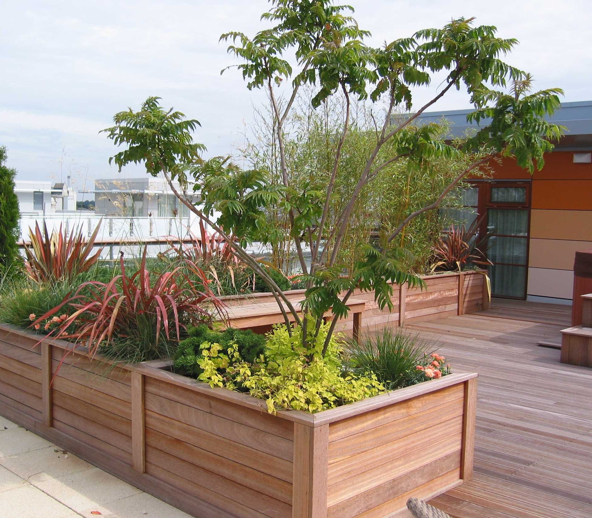 Room105 Garden Design, Hertfordshire