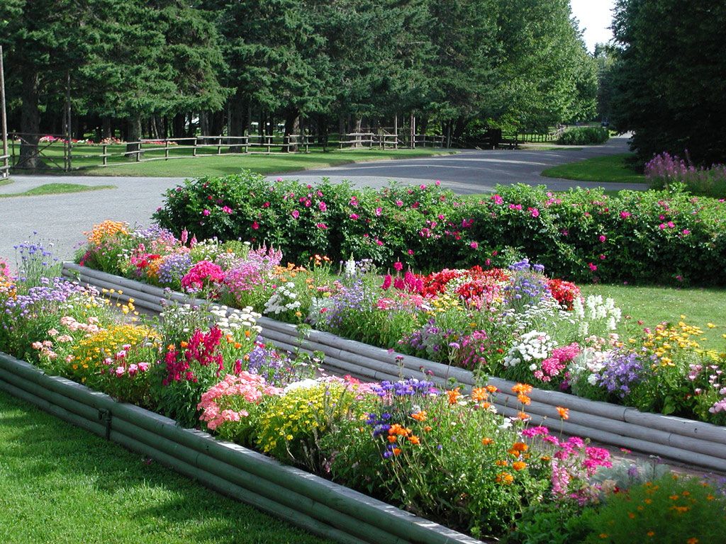 Raised Beds, Roosevelt Campobello Gardens