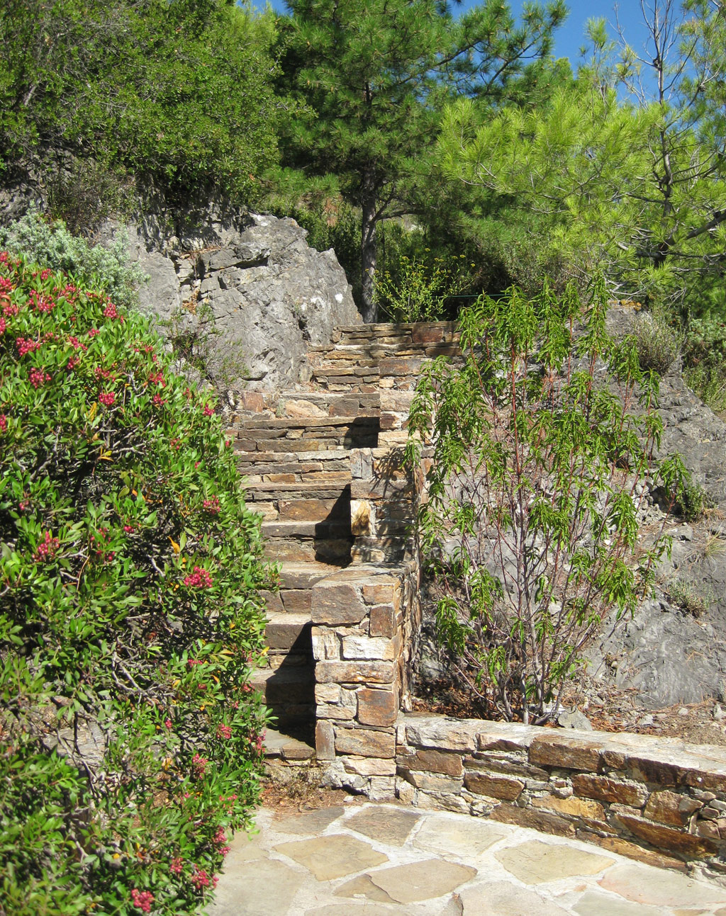 Steps, Jardin Méditerranéen de Roquebrun