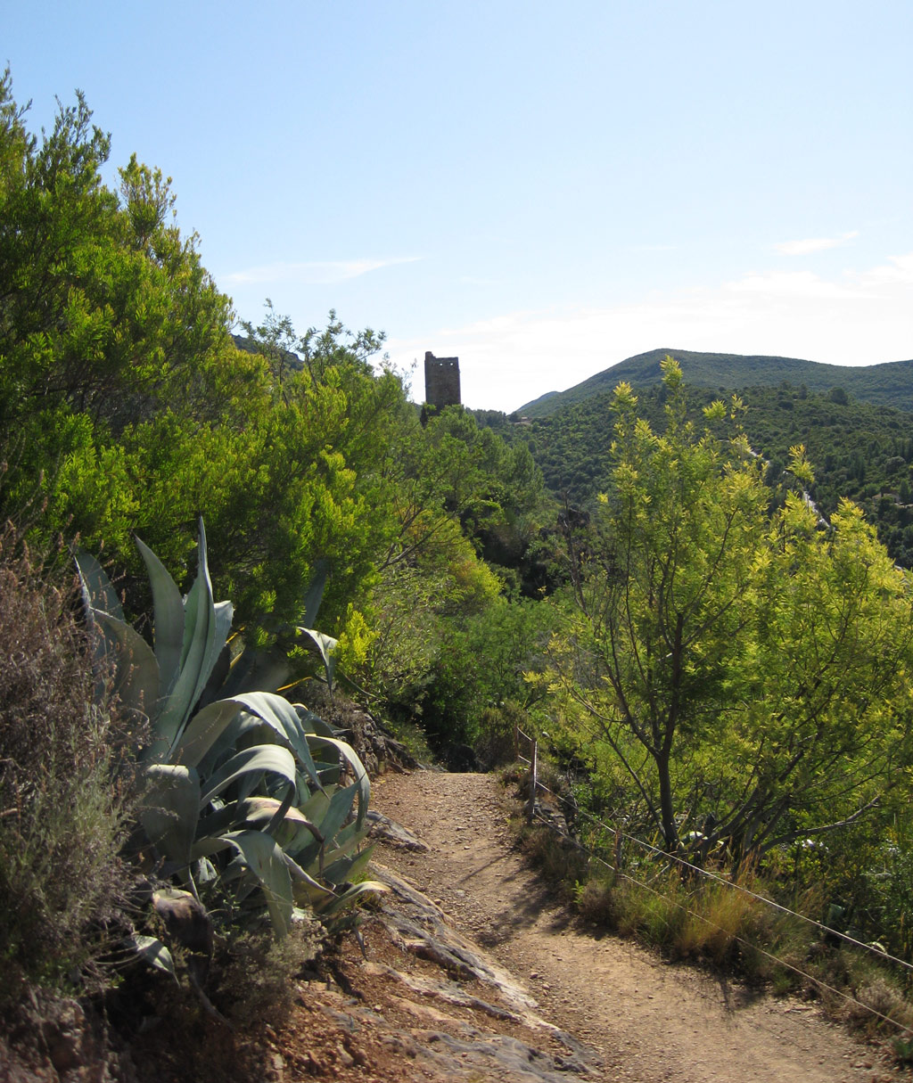 View, Jardin Méditerranéen de Roquebrun