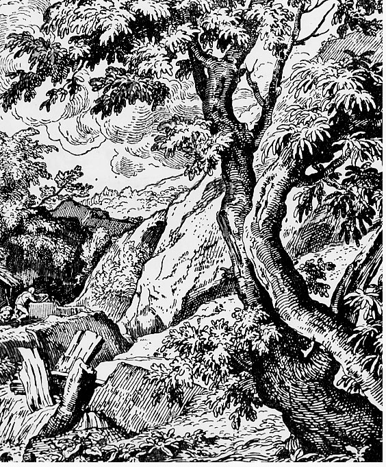 Illustrations on CD edition of Garden Visit and Travel Guide - see www.gardenvisit.com/order_form.htm