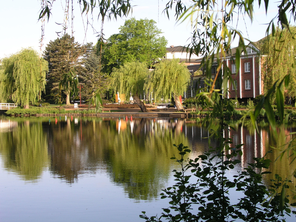 Rosarium Uetersen Frank