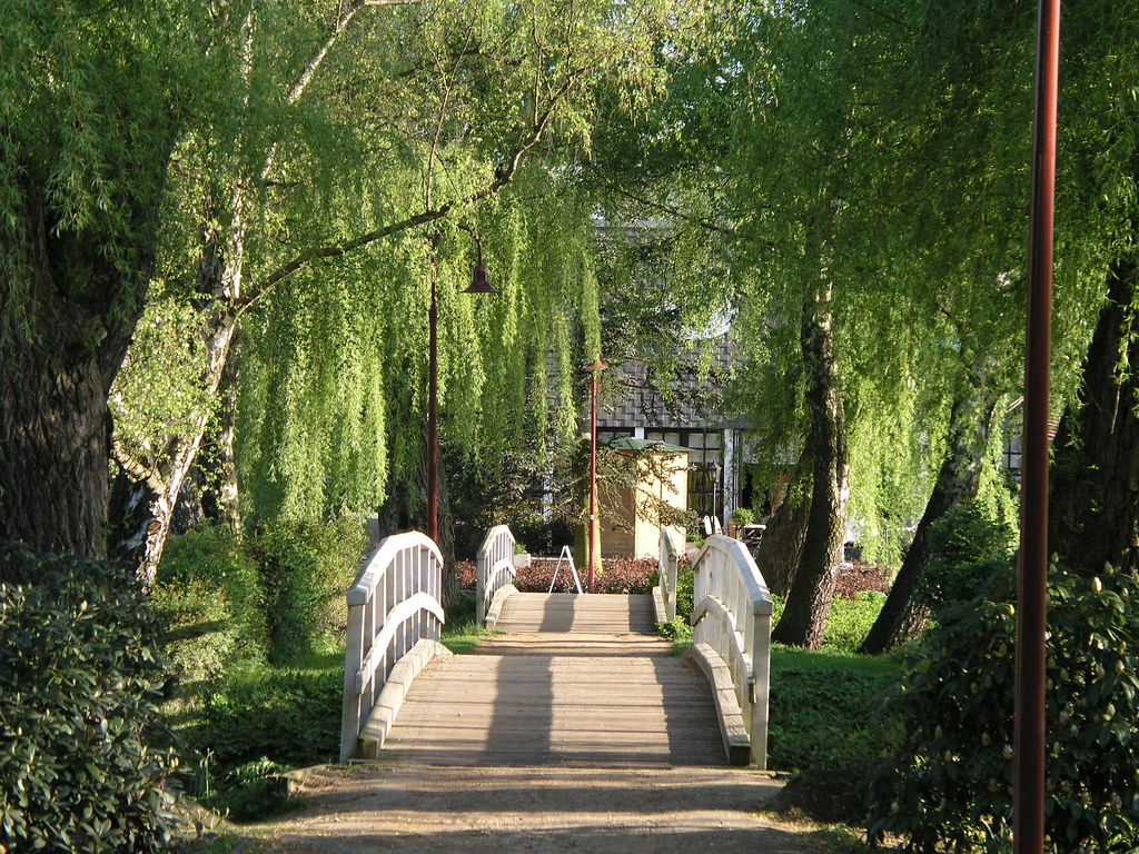 Rosarium Uetersen Frank
