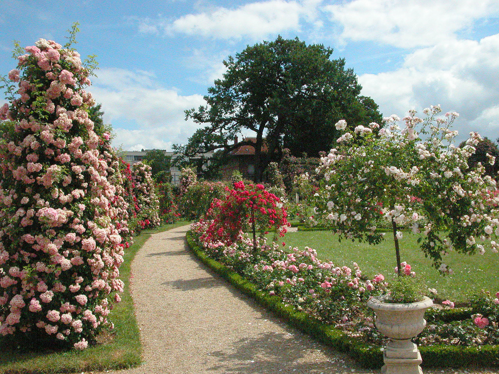 Roseraie de l'Hay les Roses Service Photo