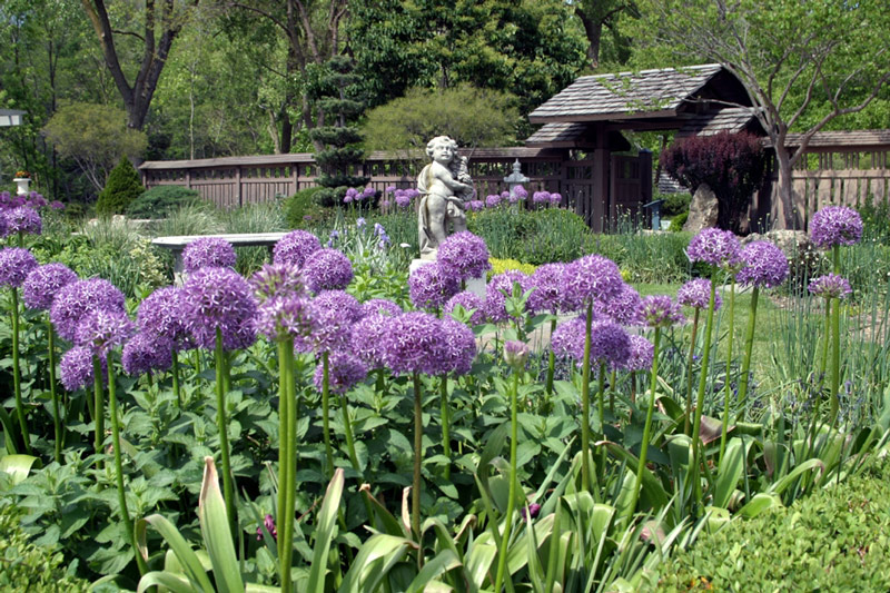 French Cottage Gardens