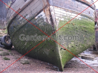 Rotting Ship