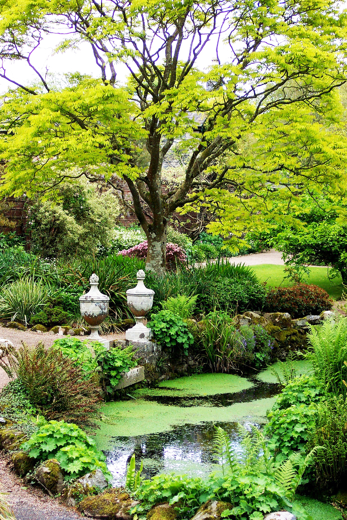 Rowallane Garden Caroline Lewis
