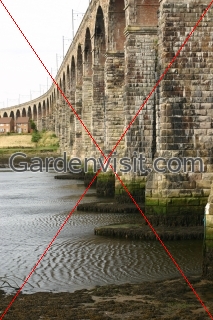 Royal Border Bridge