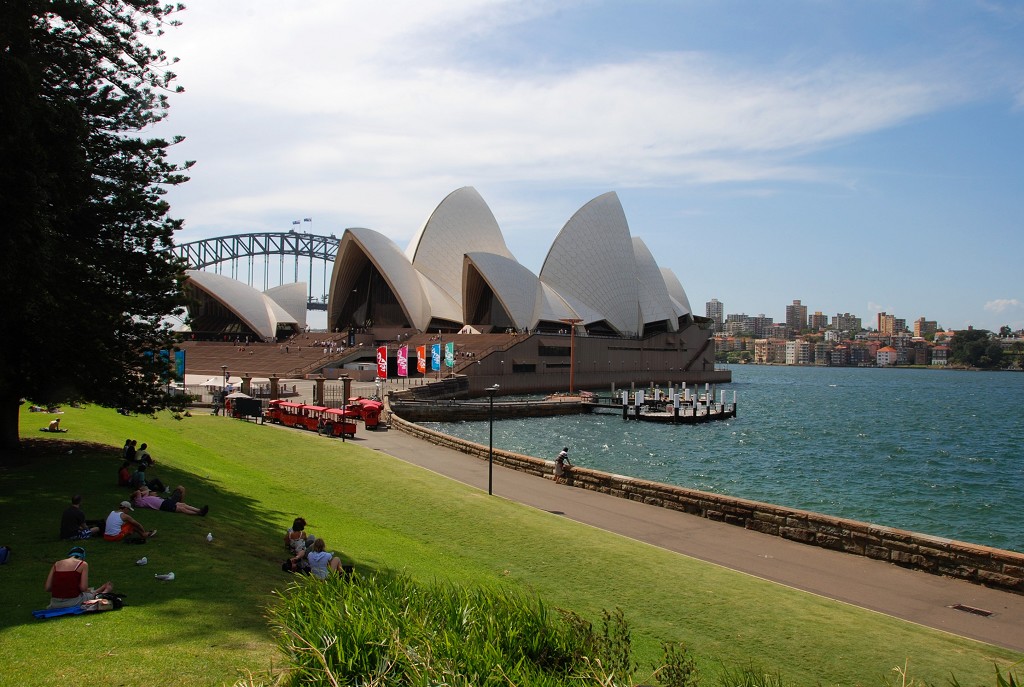 Royal Botanic Gardens Sydney calium